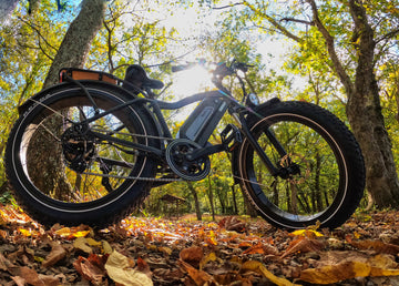 electric hunting bike