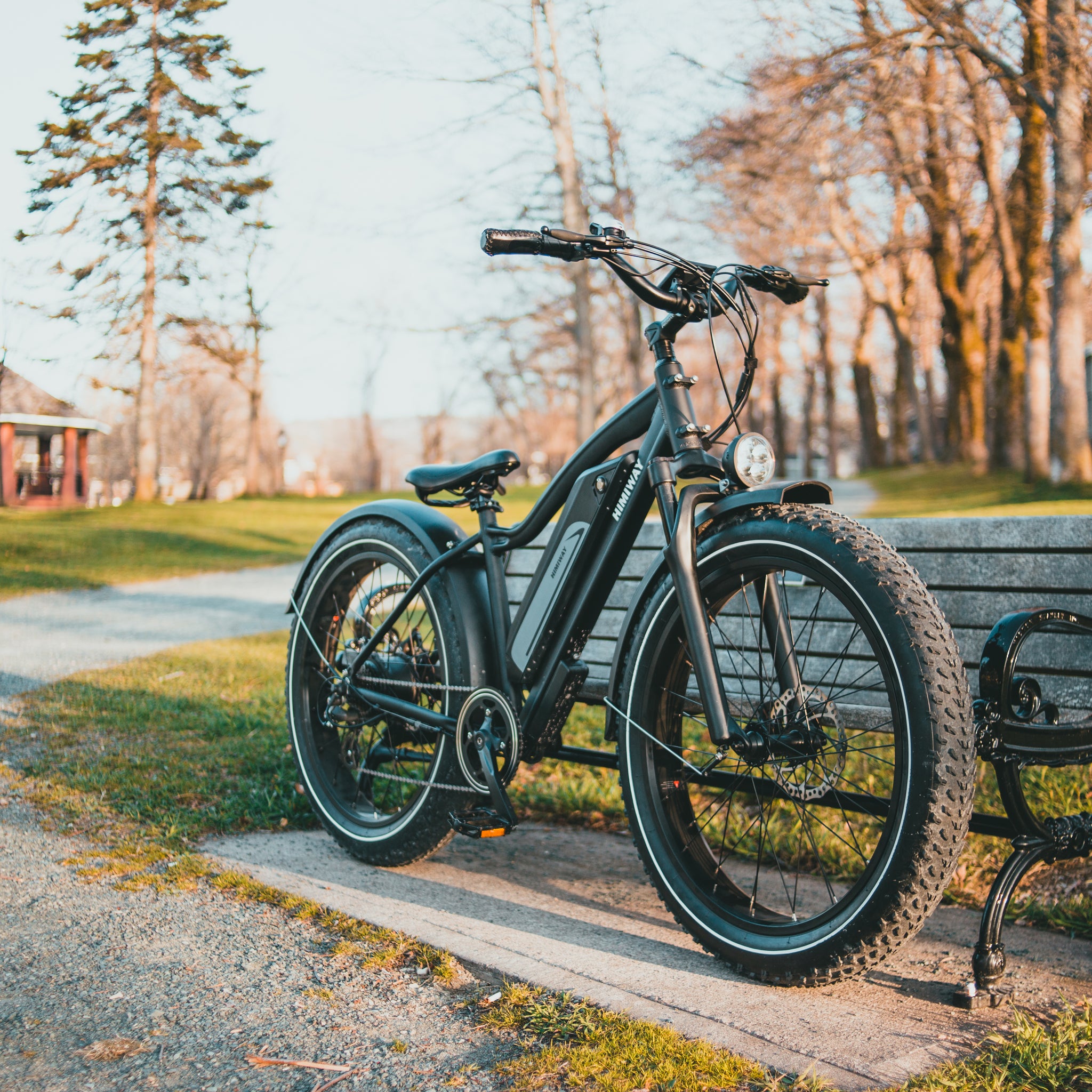 Himiway All Terrain Electric Fat Bike