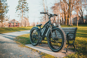 Himiway All Terrain Electric Fat Bike