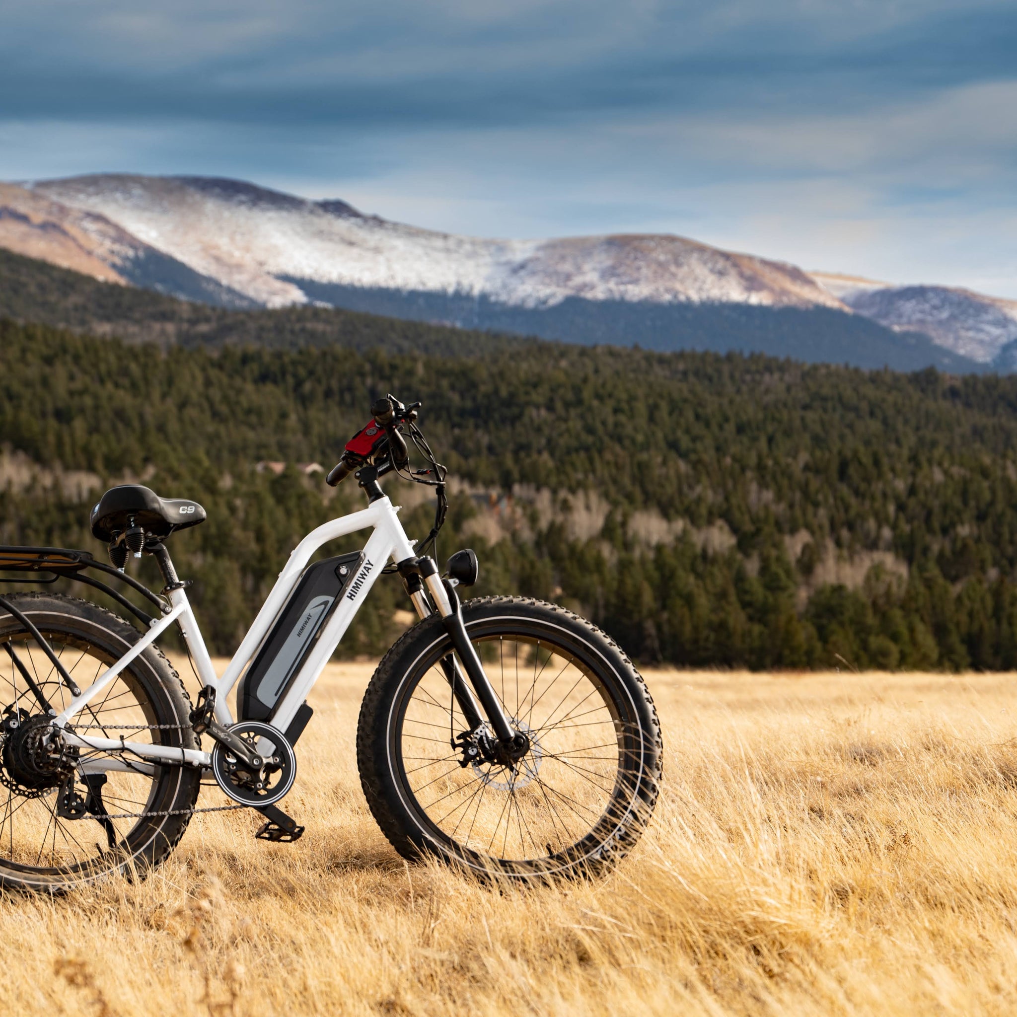 reasons for e-bike price increases