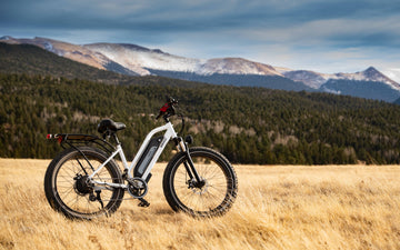 reasons for e-bike price increases