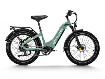 Himiway D5 ST (Zebra ST) | Premium All-terrain Electric Fat Bike