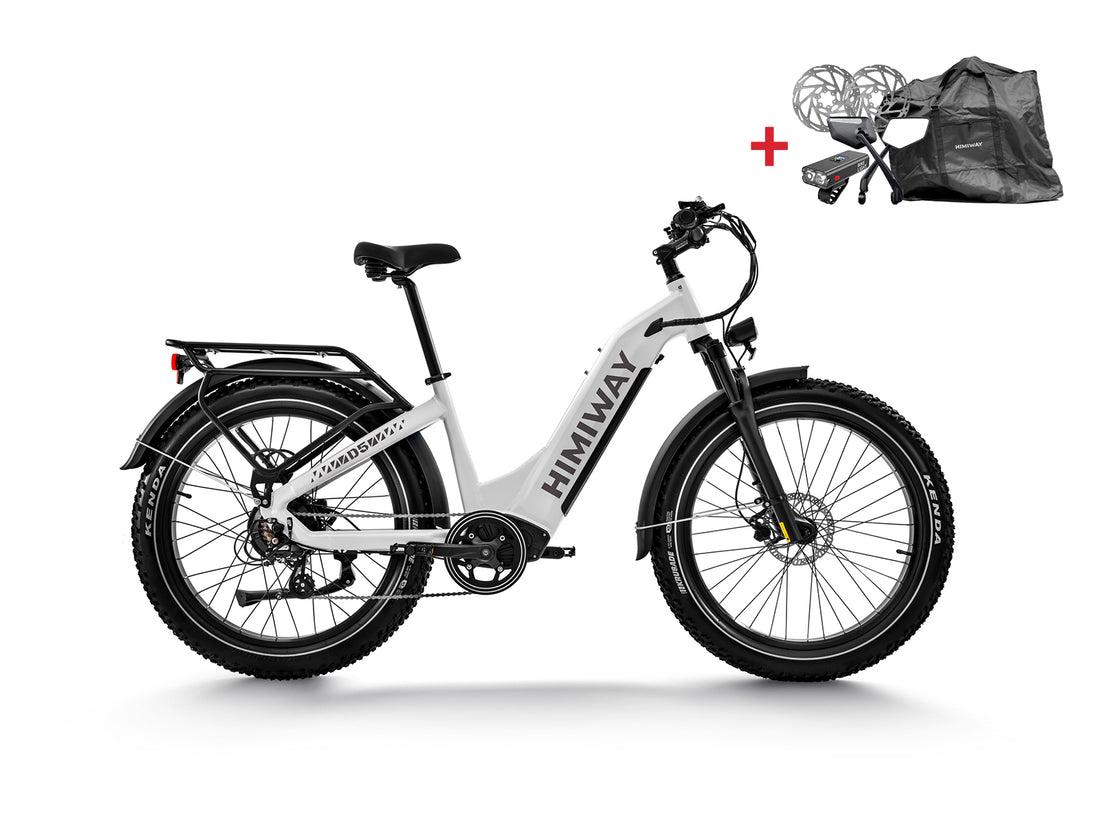 Himiway D5 (Zebra) | Premium All-terrain Electric Fat Bike