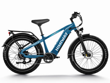 Himiway D5 (Zebra) | Premium All-terrain Electric Fat Bike